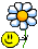 un fiore